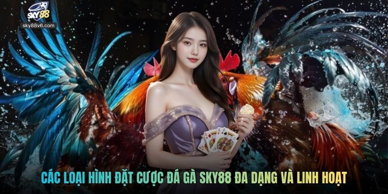 Các loại hình đặt cược đá gà Sky88 đa dạng và linh hoạt